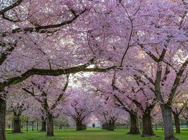 Announcements Tuesday, April 6, 2021