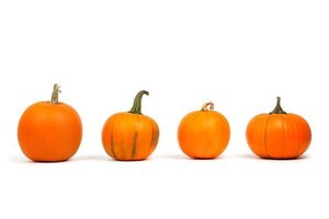 Announcements - Wednesday, October 28, 2020