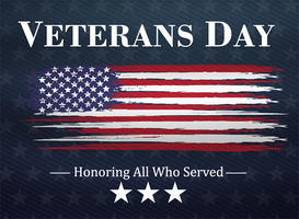 Veterans Day 2020