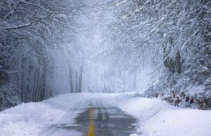 Announcements Thursday, January 28, 2021