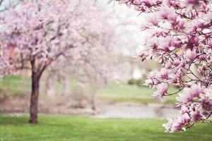 Announcements Tuesday, April 27, 2021
