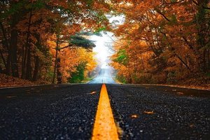Announcements - Monday, November 9, 2020