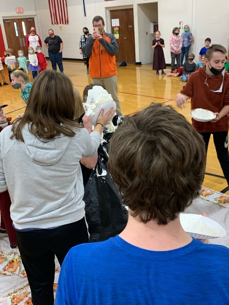 pie in the face