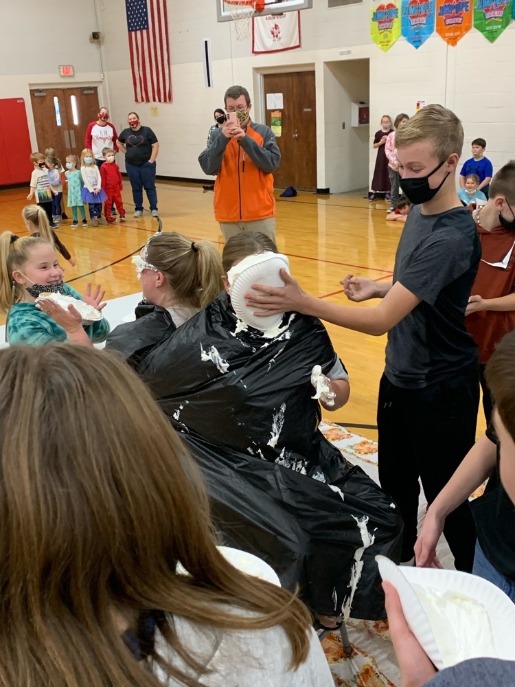 pie in the face