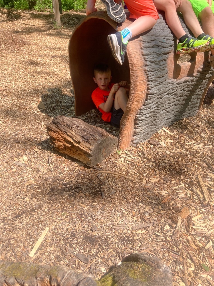 Fun hiding in the log.