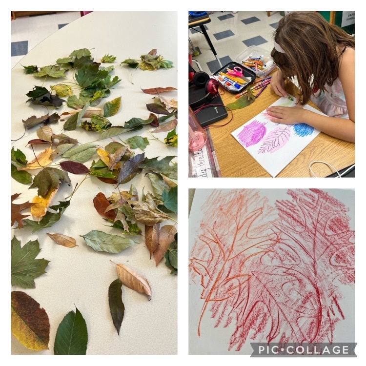 2D learning about why leaves change color in the Fall. 